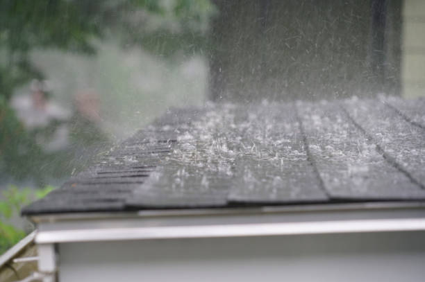 Best Skylight Installation and Repair  in Guilford Center, CT